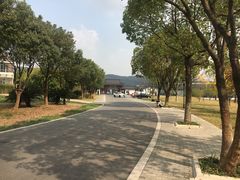 -龙寺生态园