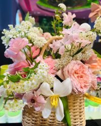 -花隐·美芙炫海菲秀皮肤管理中心