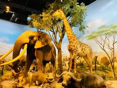 -陕西自然博物馆