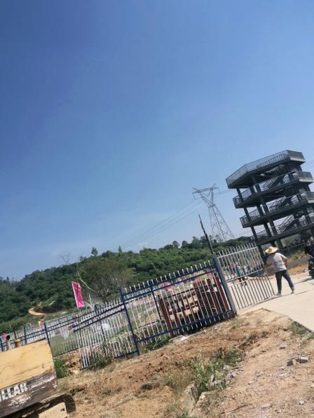 冷杉秋长花海影视基地-"太多人看了推荐文章过来的,坑,还没怎么开.