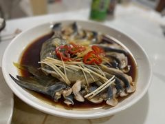 -煲来饱去冷水鱼