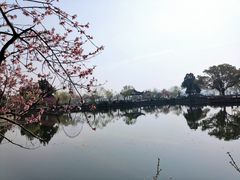 -无锡蠡湖国家湿地公园-蠡园