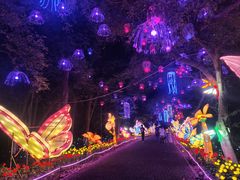 -广西壮族自治区药用植物园