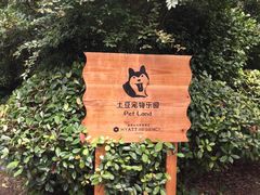 -上海崇明金茂凯悦酒店