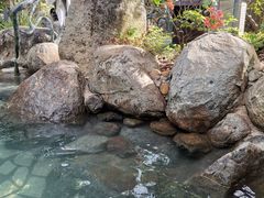 -龙佳生态温泉山庄