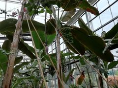 -兰陵国家农业公园