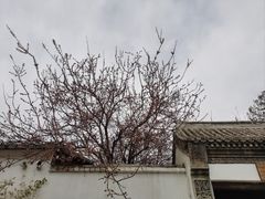 -辛庄国际文化艺术区