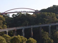 -金鸡山公园