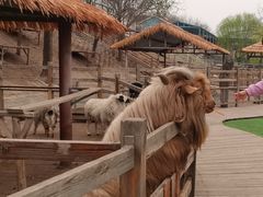 -北京鹿世界主题园