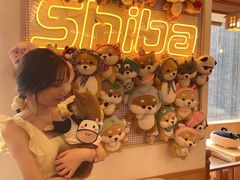 -豆柴町-柴犬主题狗咖(红鼎国际C座店)