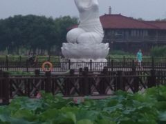 -荷塘月色湿地公园·向阳花洲