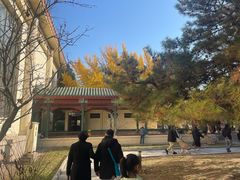 -中国农业博物馆
