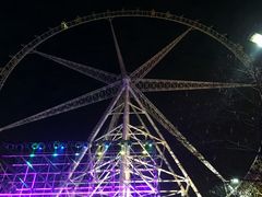 -锦江乐园舞狸花花游园会(夜场专享)