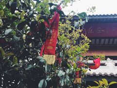 -孤山景区-孤山寺