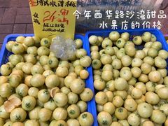 -长洲岛