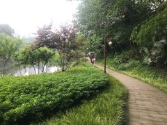 -重庆彩云湖湿地公园