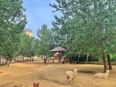 -大连森林动物园