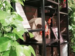 -鸽子窝(宋庄店)