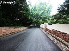 -青岛德国总督楼旧址博物馆