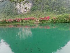 -靖西鹅泉风景区