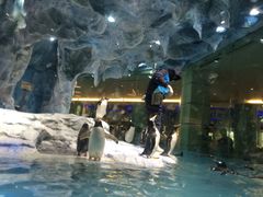 -广东省拱北口岸中国旅行社(华宾营业部)