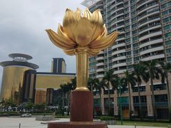 -金莲花广场