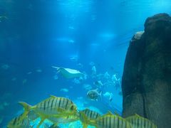 -福州罗源湾海洋世界旅游区