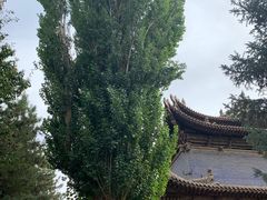 -张掖大佛寺景区