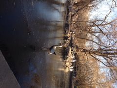 iphone_upload_pic-北京动物园