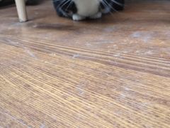 -下面馆