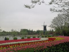 -上海鲜花港