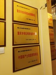 -大美臻喜母婴(重庆创始店)