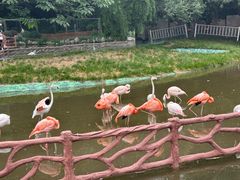 -西安秦岭野生动物园