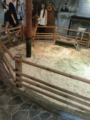 -Zoolung Zoolung动物主题公园(海信广场店)