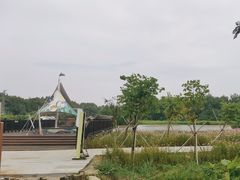 -大湾区中央湿地公园
