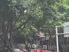 -洪霞餐馆