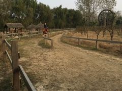 -溱湖国家湿地公园