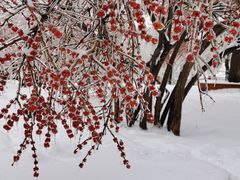 -长春公园(普阳街道)