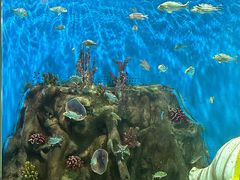 -合肥海洋世界