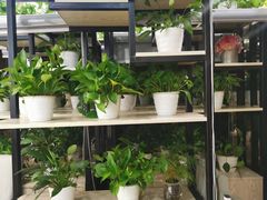 大堂-东江海辉酒楼·公司团建·商务宴请·生日宴(宝安店)