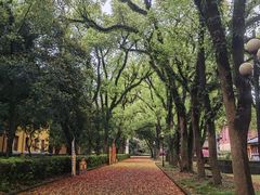 -桂林独秀峰王城景区