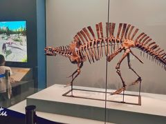 -湖南省地质博物馆