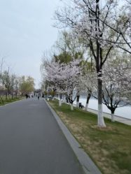-玄武湖景区-情侣园游乐场