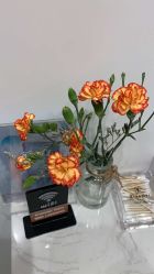 -Kraemer paris·苏豪路易士·嘉玛发廊