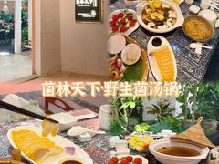 -菌林天下·野生菌汤锅