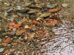 -西岭雪山大飞水景区
