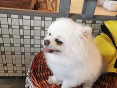 -楠火锅(仁恒梦中心店)