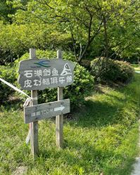 -剑鱼皮划艇俱乐部(石湖基地)