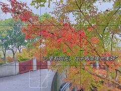 -花开海上生态园