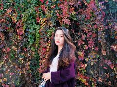 -辽宁大学(崇山校区)